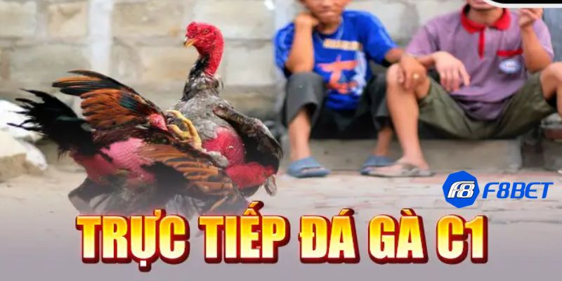 Những điều hấp dẫn từ casino đá gà C1 bạn nên trải nghiệm