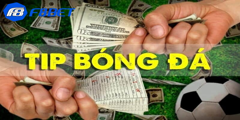 Một số loại tips bóng đá phổ biến hiện nay