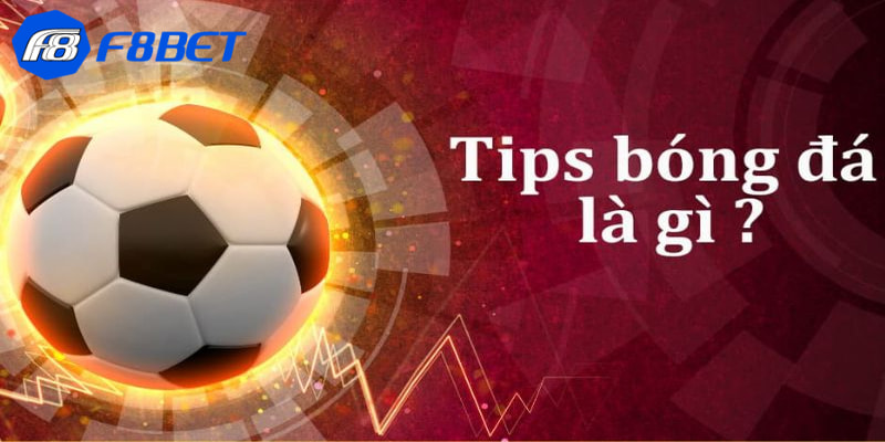 Tổng quát về tips bóng đá là gì?