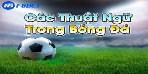thuật ngữ cá độ bóng đá